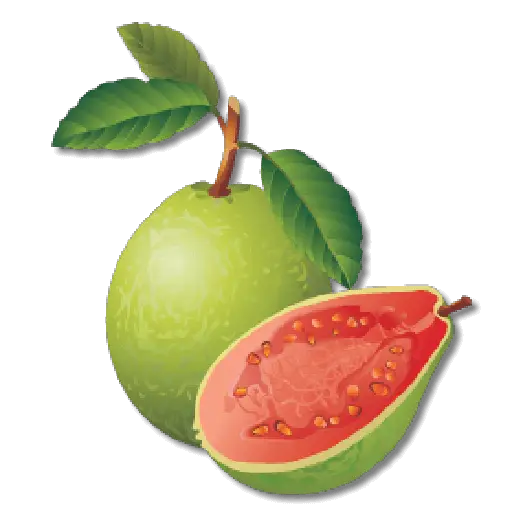 types of guava
