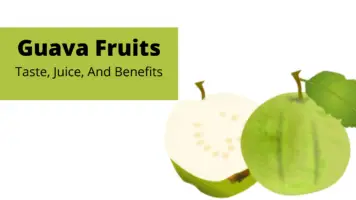 Guava Fruits tree taste juice benefits