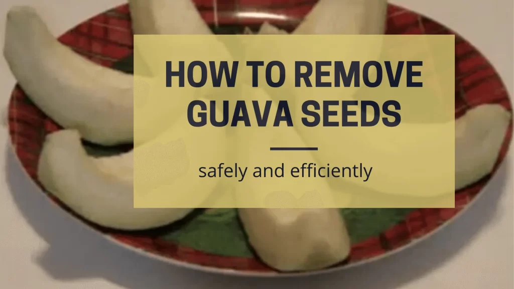 How to remove Guava seeds (1) (1)