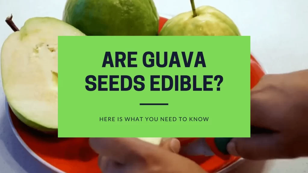 are guava seeds edible