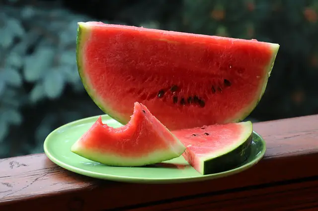 How to eat watermelon seeds for weight loss