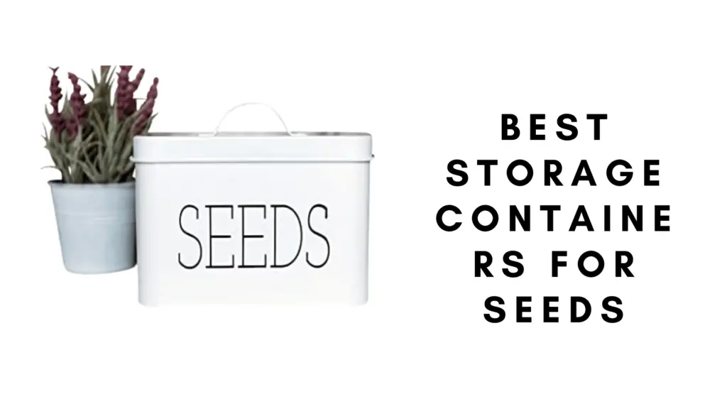 Best Seed Storage Containers: Step By Step Buyer’s Guide